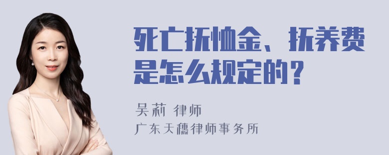 死亡抚恤金、抚养费是怎么规定的？