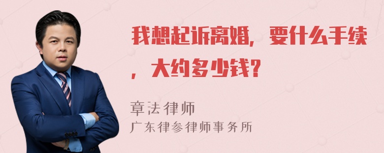 我想起诉离婚，要什么手续，大约多少钱？