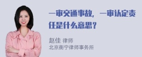 一审交通事故，一审认定责任是什么意思？