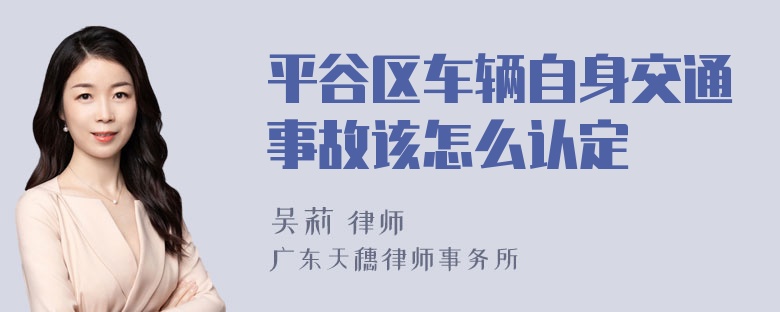 平谷区车辆自身交通事故该怎么认定