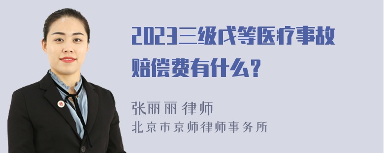 2023三级戊等医疗事故赔偿费有什么？