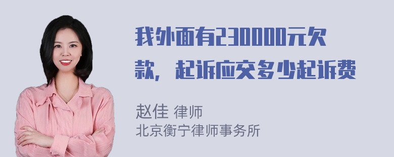 我外面有230000元欠款，起诉应交多少起诉费