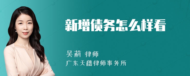 新增债务怎么样看