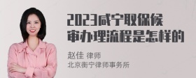 2023咸宁取保候审办理流程是怎样的