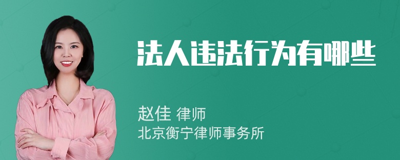 法人违法行为有哪些