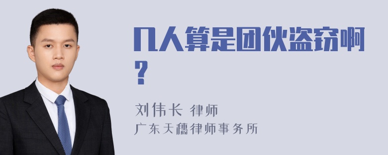 几人算是团伙盗窃啊？