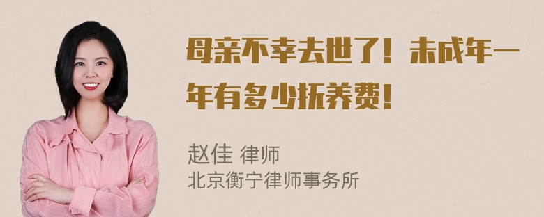 母亲不幸去世了！未成年一年有多少抚养费！