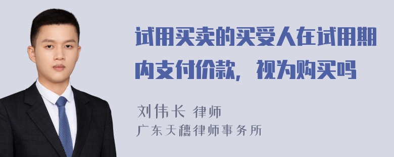 试用买卖的买受人在试用期内支付价款，视为购买吗