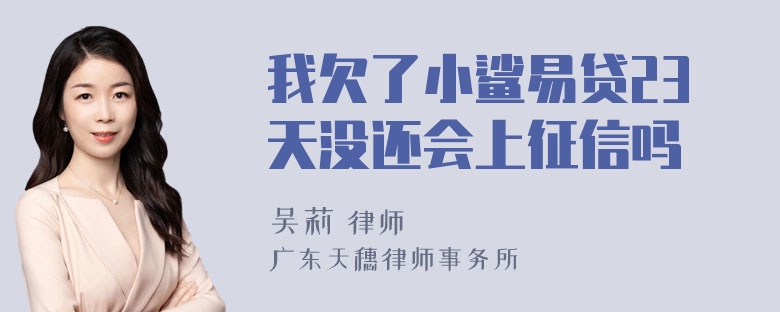 我欠了小鲨易贷23天没还会上征信吗