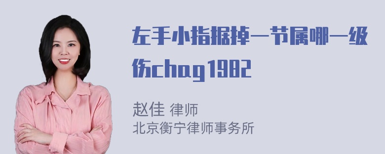 左手小指据掉一节属哪一级伤chag1982