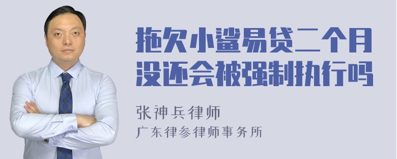 拖欠小鲨易贷二个月没还会被强制执行吗