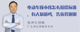 电动车撞小孩怎么赔偿标准，有人知道吗，告诉我谢谢