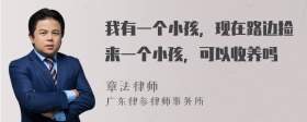 我有一个小孩，现在路边捡来一个小孩，可以收养吗