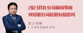 2023我在公司和同事闹纠纷被公司辞退有赔偿吗