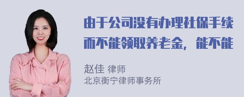 由于公司没有办理社保手续而不能领取养老金，能不能