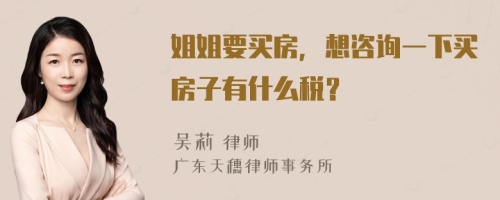 姐姐要买房，想咨询一下买房子有什么税？