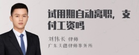 试用期自动离职，支付工资吗