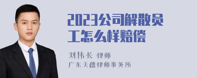 2023公司解散员工怎么样赔偿