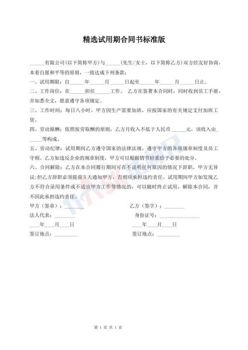 精选试用期合同书标准版