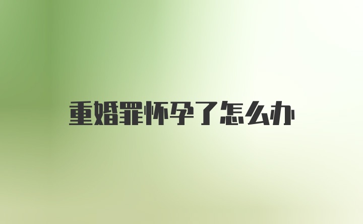 重婚罪怀孕了怎么办
