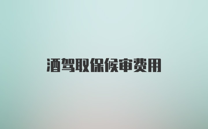 酒驾取保候审费用