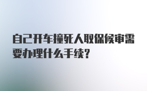 自己开车撞死人取保候审需要办理什么手续？