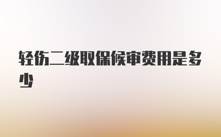 轻伤二级取保候审费用是多少