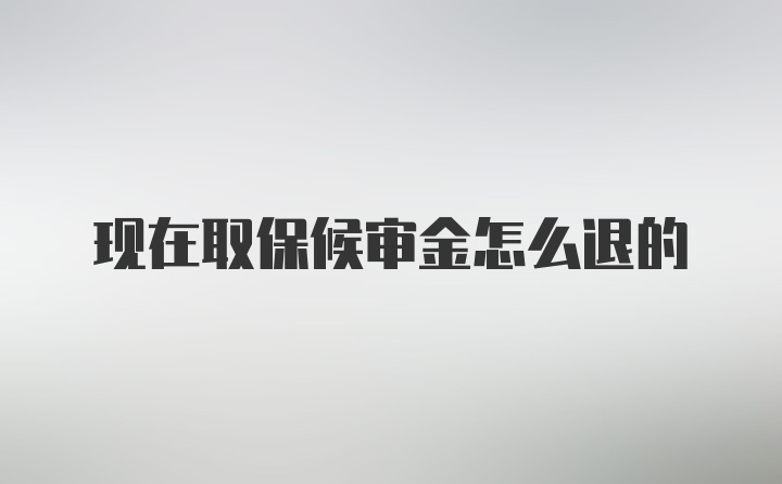 现在取保候审金怎么退的