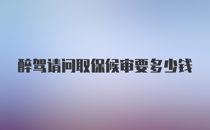 醉驾请问取保候审要多少钱