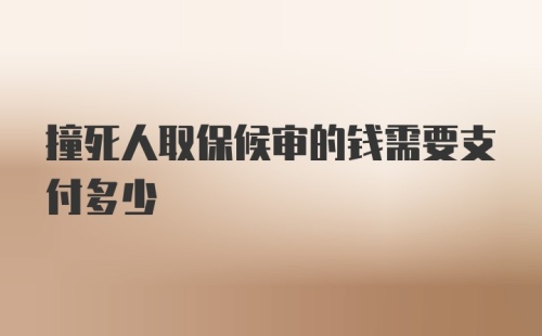 撞死人取保候审的钱需要支付多少