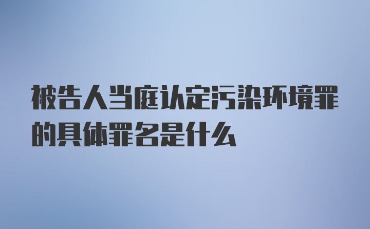 被告人当庭认定污染环境罪的具体罪名是什么