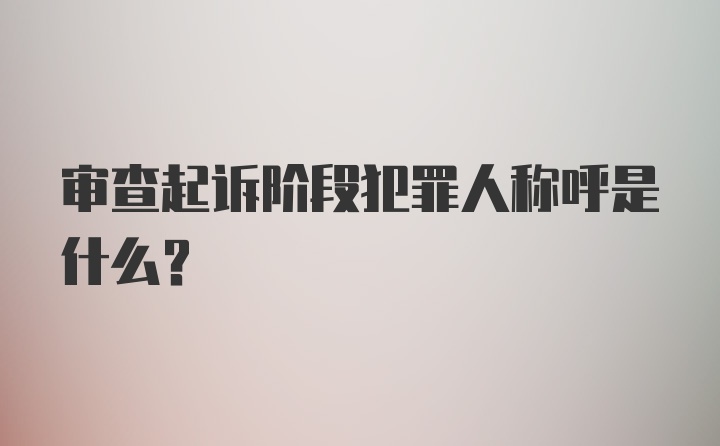 审查起诉阶段犯罪人称呼是什么?