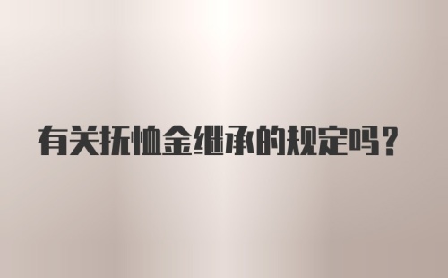 有关抚恤金继承的规定吗？