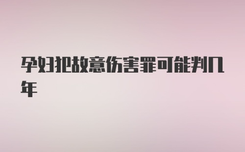 孕妇犯故意伤害罪可能判几年