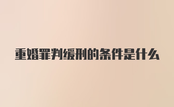 重婚罪判缓刑的条件是什么