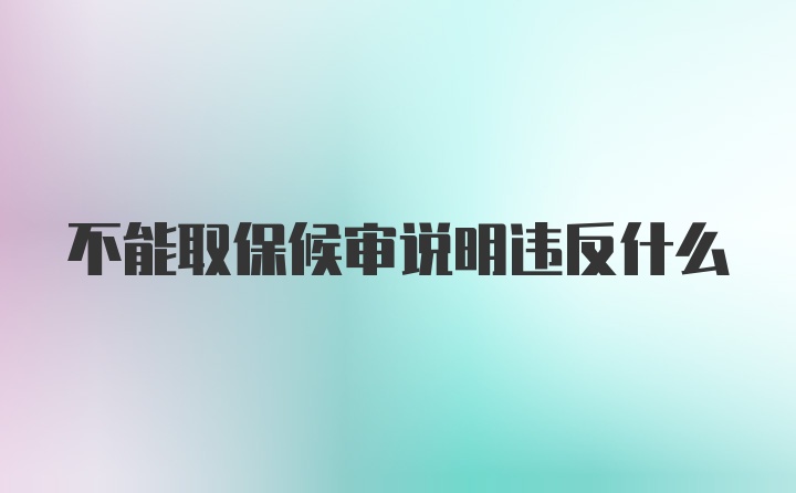 不能取保候审说明违反什么