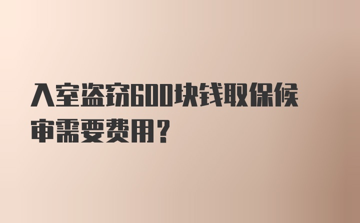 入室盗窃600块钱取保候审需要费用？