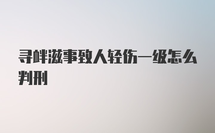 寻衅滋事致人轻伤一级怎么判刑