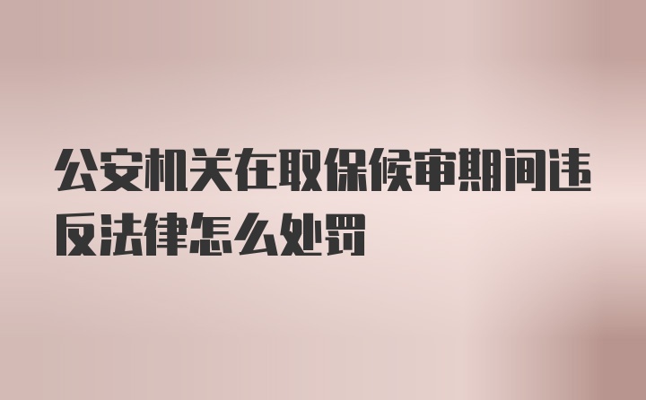 公安机关在取保候审期间违反法律怎么处罚