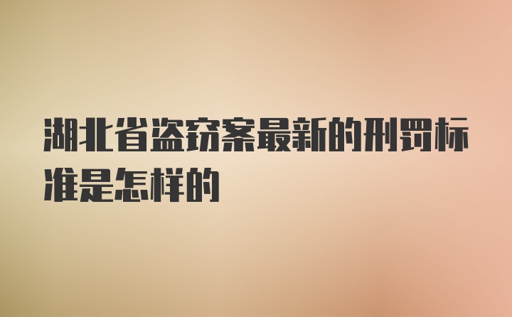 湖北省盗窃案最新的刑罚标准是怎样的