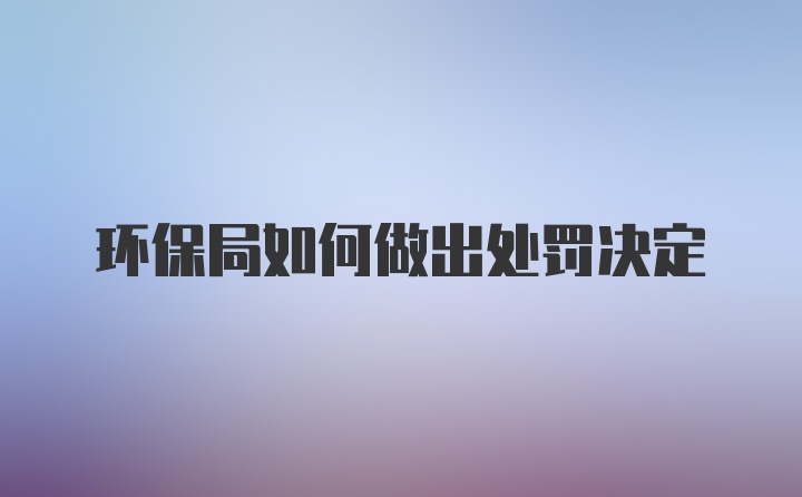 环保局如何做出处罚决定