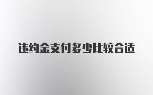 违约金支付多少比较合适