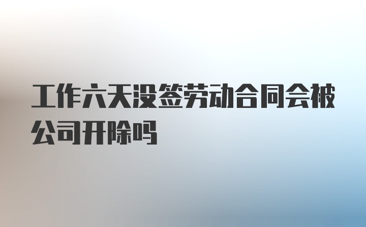 工作六天没签劳动合同会被公司开除吗