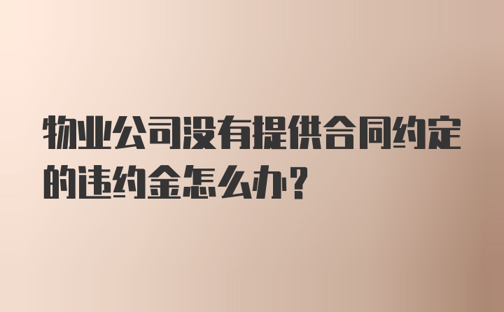 物业公司没有提供合同约定的违约金怎么办？