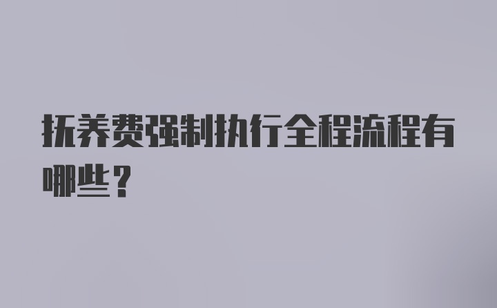 抚养费强制执行全程流程有哪些？