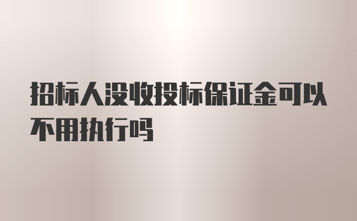 招标人没收投标保证金可以不用执行吗