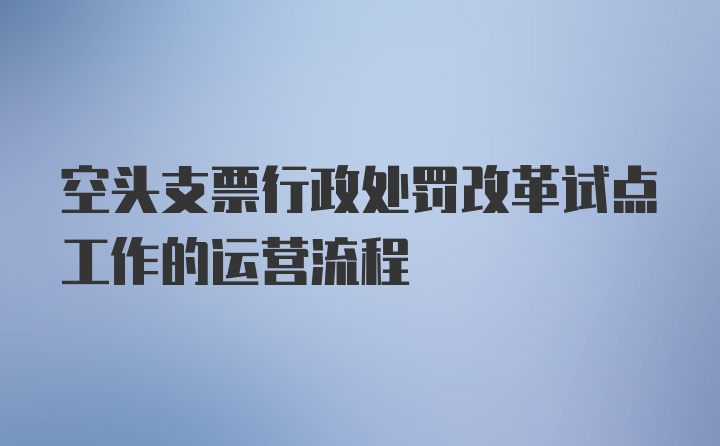 空头支票行政处罚改革试点工作的运营流程