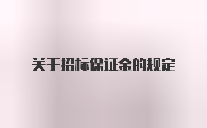 关于招标保证金的规定