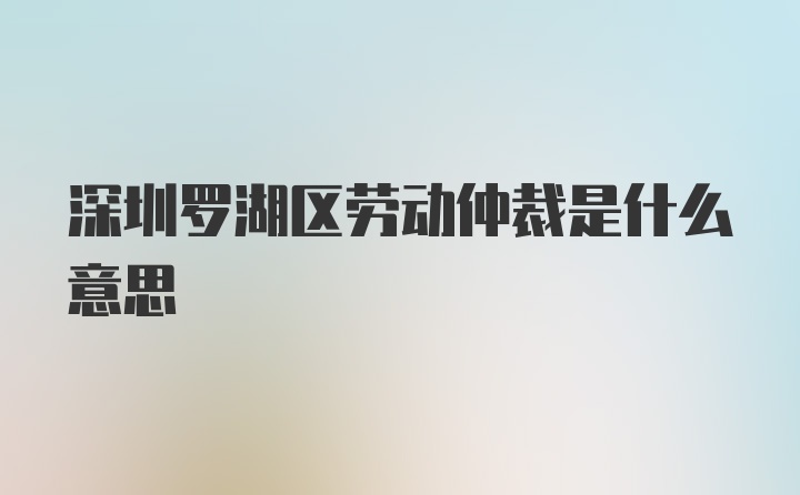 深圳罗湖区劳动仲裁是什么意思