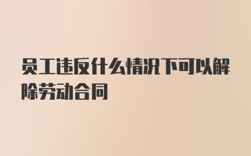 员工违反什么情况下可以解除劳动合同